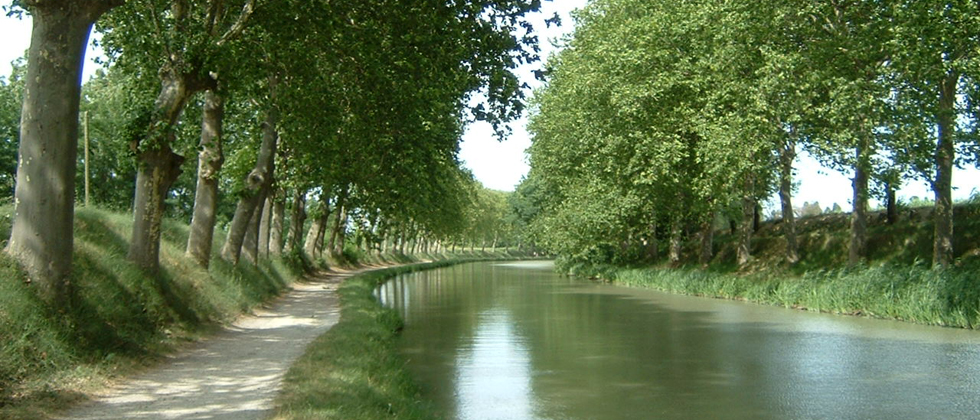 The nearby Canal Du Midi The nearby Canal Du Midi